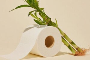 Blog dm 20260227151815 002